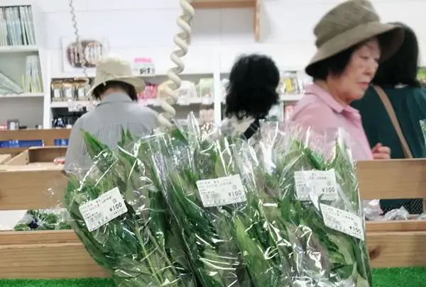 江口蓬莱館の写真・動画_image_215621