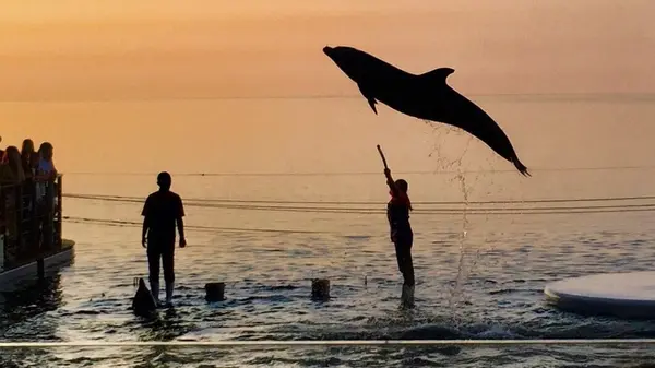 上越市立水族博物館 うみがたり（旧：上越市立水族博物館）の写真・動画_image_215633