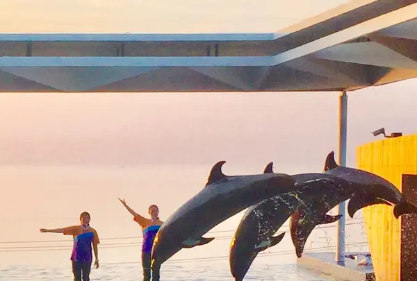 上越市立水族博物館 うみがたり（旧：上越市立水族博物館）の写真・動画_image_215635