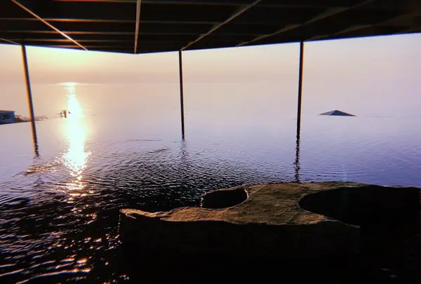上越市立水族博物館 うみがたり（旧：上越市立水族博物館）の写真・動画_image_215638