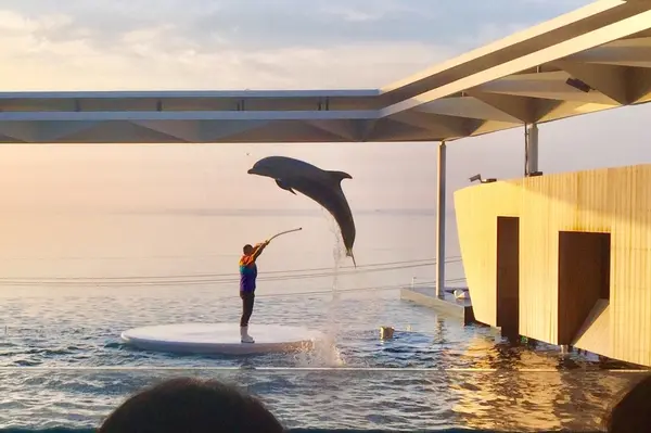 上越市立水族博物館 うみがたり（旧：上越市立水族博物館）の写真・動画_image_215639