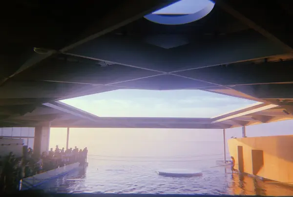 上越市立水族博物館 うみがたり（旧：上越市立水族博物館）の写真・動画_image_215643