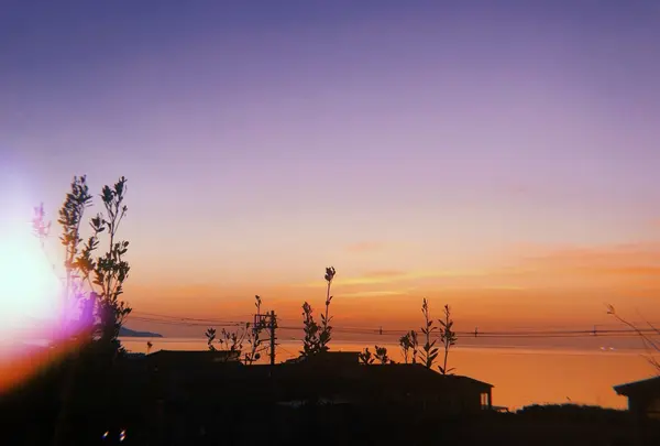 上越市立水族博物館 うみがたり（旧：上越市立水族博物館）の写真・動画_image_215644