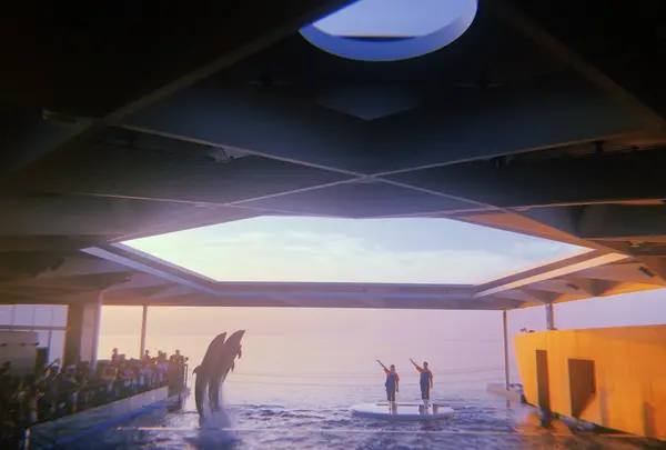 上越市立水族博物館 うみがたり（旧：上越市立水族博物館）の写真・動画_image_215645