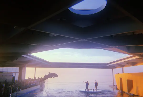 上越市立水族博物館 うみがたり（旧：上越市立水族博物館）の写真・動画_image_215646