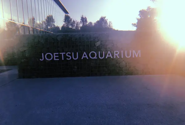 上越市立水族博物館 うみがたり（旧：上越市立水族博物館）の写真・動画_image_215649