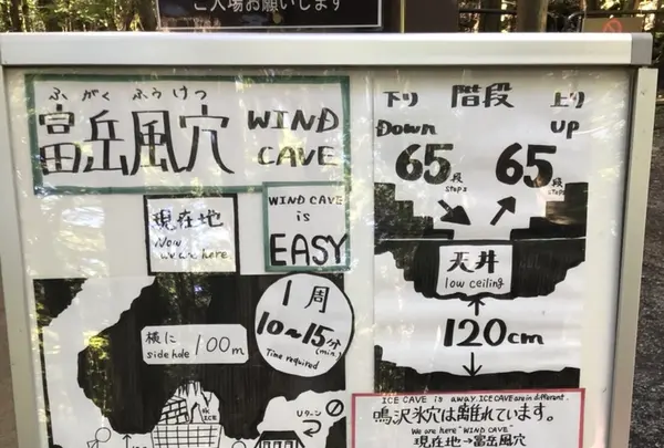 富岳風穴の写真・動画_image_215819