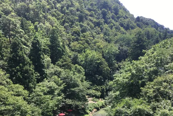 鶴仙渓の写真・動画_image_215947