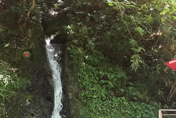 鶴仙渓　川床の写真・動画_image_215949