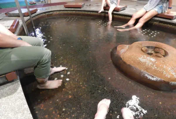 足湯 湯楽里の写真・動画_image_216028