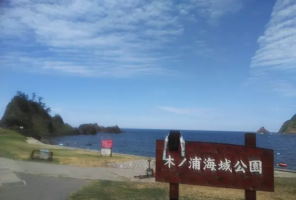 Cove cafeの写真・動画_image_216036