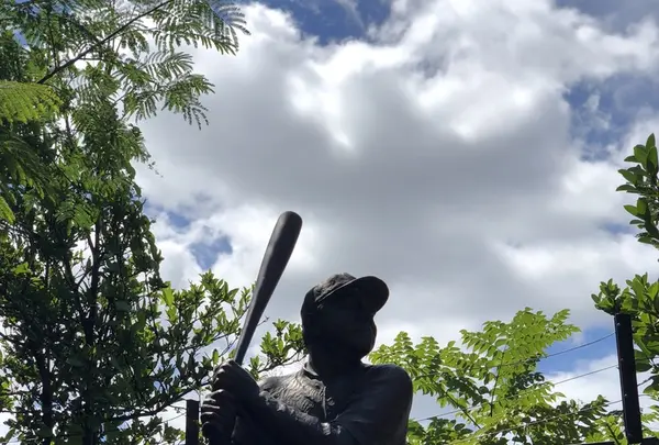 八木山動物公園フジサキの杜の写真・動画_image_216154