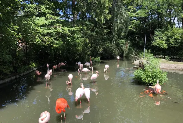 八木山動物公園フジサキの杜の写真・動画_image_216156