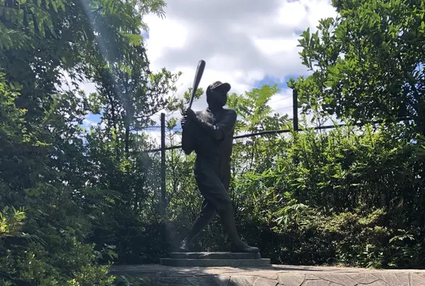 八木山動物公園フジサキの杜の写真・動画_image_216157