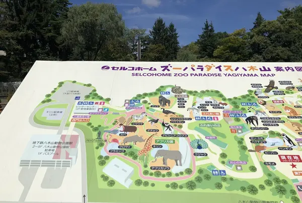 八木山動物公園フジサキの杜の写真・動画_image_216159