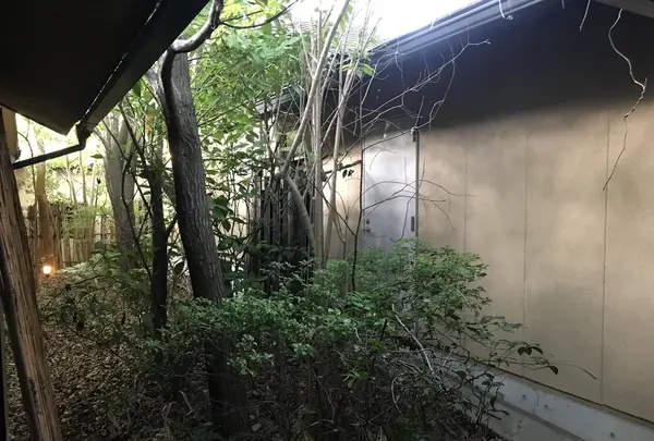 縄文天然温泉 志楽の湯の写真・動画_image_216202