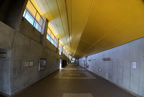 みやぎ生協めぐみ野サッカー場の写真・動画_image_216222