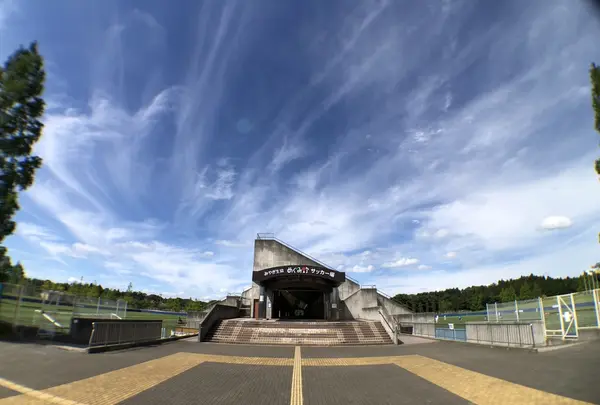 みやぎ生協めぐみ野サッカー場の写真・動画_image_216223