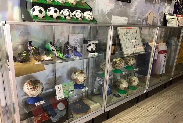 宮城県総合運動公園宮城スタジアムの写真・動画_image_216229