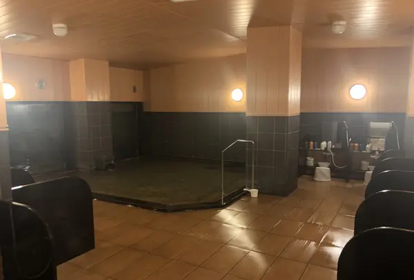 ホテルルートイン釜石の写真・動画_image_216258