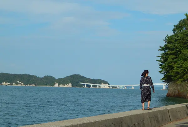 妻恋舟の湯の写真・動画_image_216305