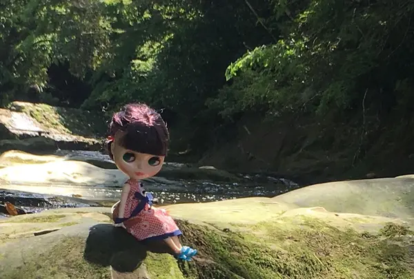 粟又ノ滝の写真・動画_image_216344