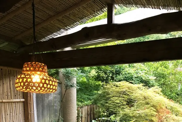 渓谷別庭 もちの木の写真・動画_image_216360