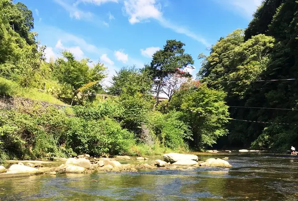 渓谷別庭 もちの木の写真・動画_image_216363