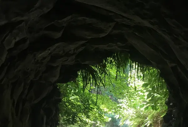 金神の滝の写真・動画_image_216370