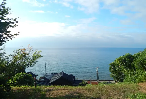 ふらっとの写真・動画_image_216428