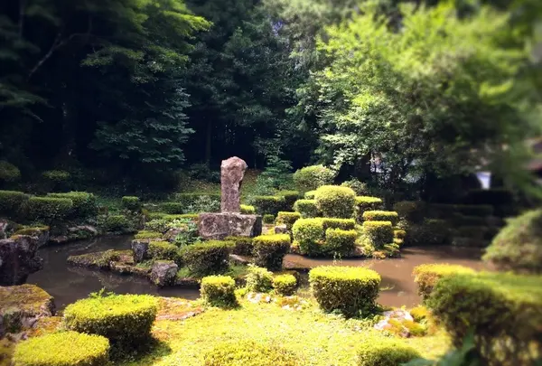 満願寺の写真・動画_image_216472