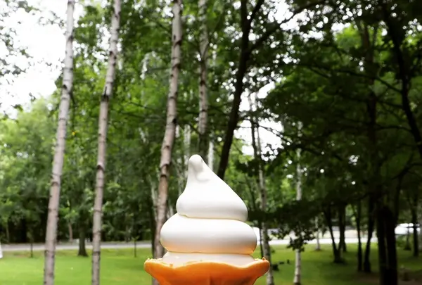 富良野チーズ工房の写真・動画_image_216522