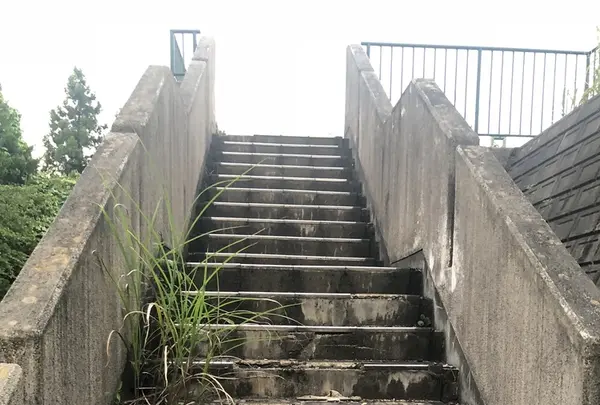 気仙沼市営野球場の写真・動画_image_216598