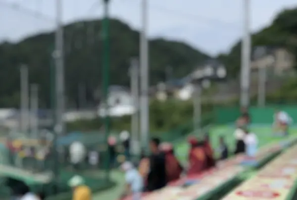 宮古市田老野球場の写真・動画_image_216647
