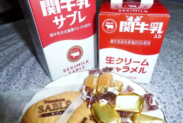 関SA (上り)の写真・動画_image_217000