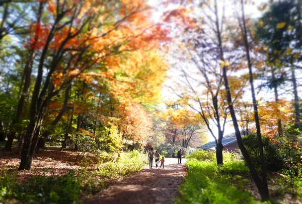 赤城自然園の写真・動画_image_217124