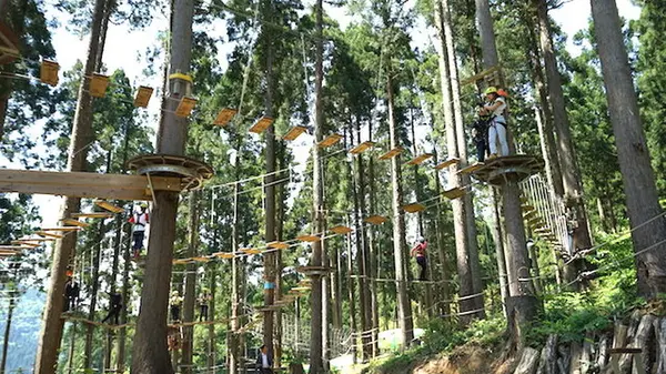 ツリーピクニック アドベンチャー いけだの写真・動画_image_217246