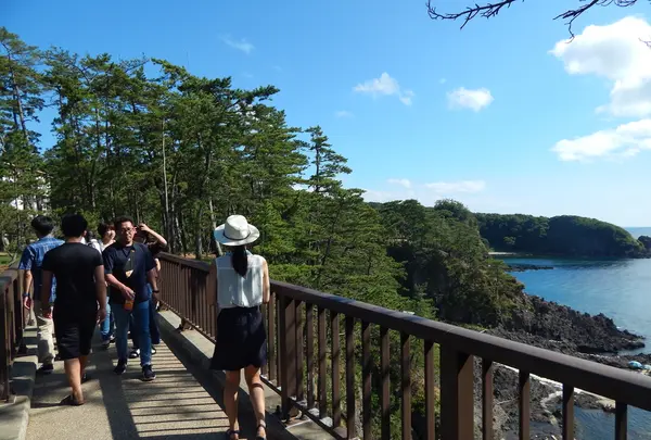 能登金剛の写真・動画_image_217302