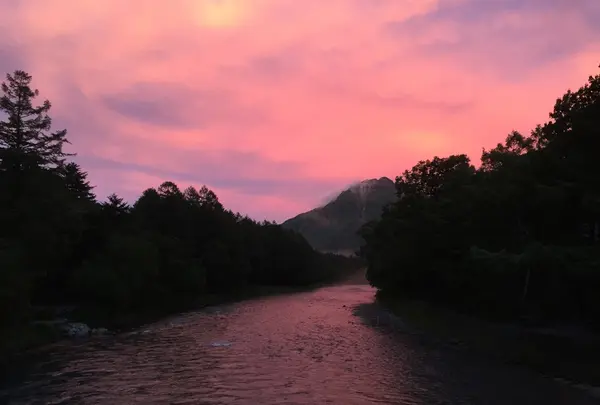 ホテル白樺荘の写真・動画_image_217306