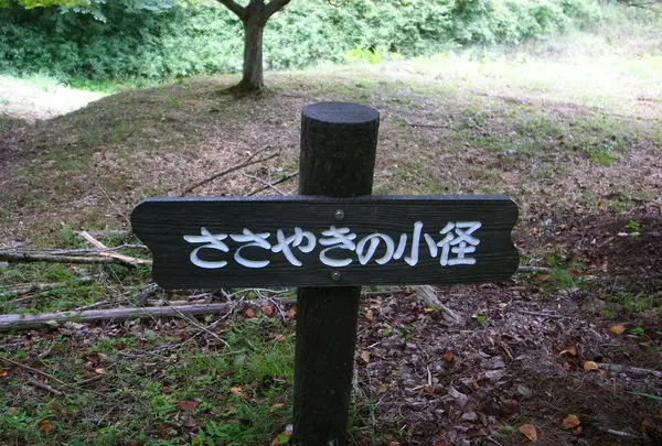 大野ダムの写真・動画_image_217363