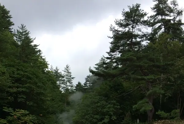 西の河原公園の写真・動画_image_217390