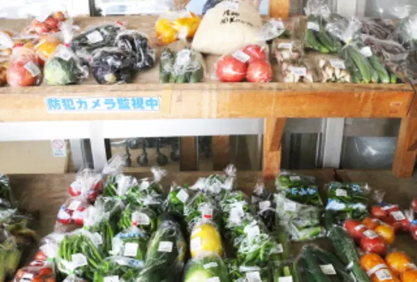 道の駅 京丹波 味夢の里の写真・動画_image_217410