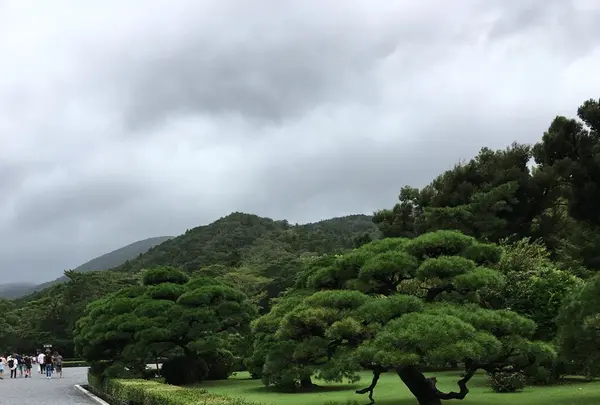 伊勢神宮の写真・動画_image_217430