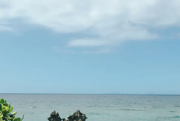 ガンガラーの谷 ケイブカフェの写真・動画_image_217450