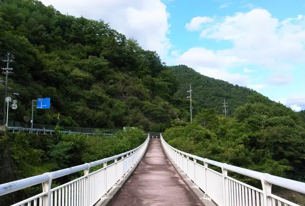 音海側道橋の写真・動画_image_217550
