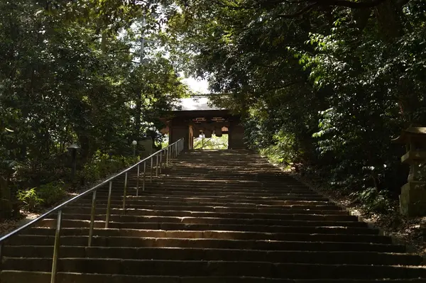 長浜神社の写真・動画_image_217709