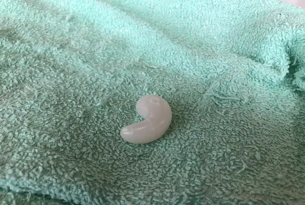 いずも まがたまの里 伝承館の写真・動画_image_217711