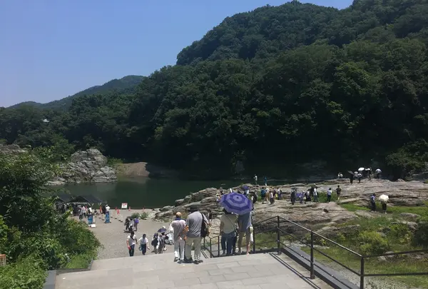 長瀞渓谷（岩畳）の写真・動画_image_217754