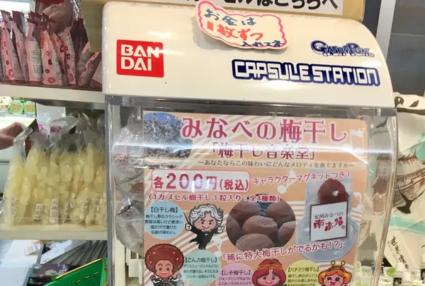 わかやま紀州館の写真・動画_image_217805