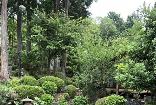 和むら総本店の写真・動画_image_217957